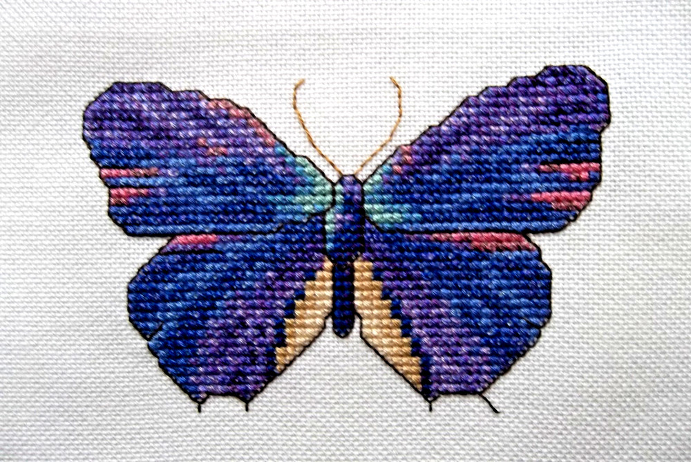 COMPLETED FINISHED CROSS STITCH: BUTTERFLY