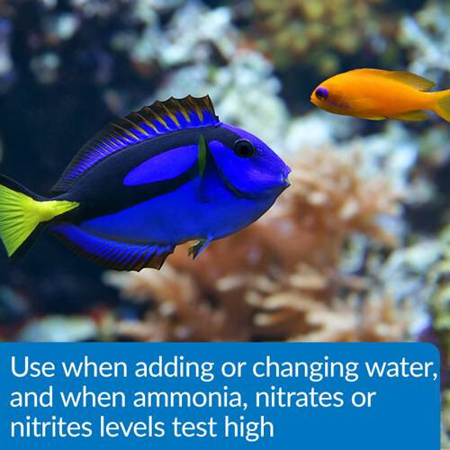 API Pond Aqua Essential Water Conditioner 32oz. 424G