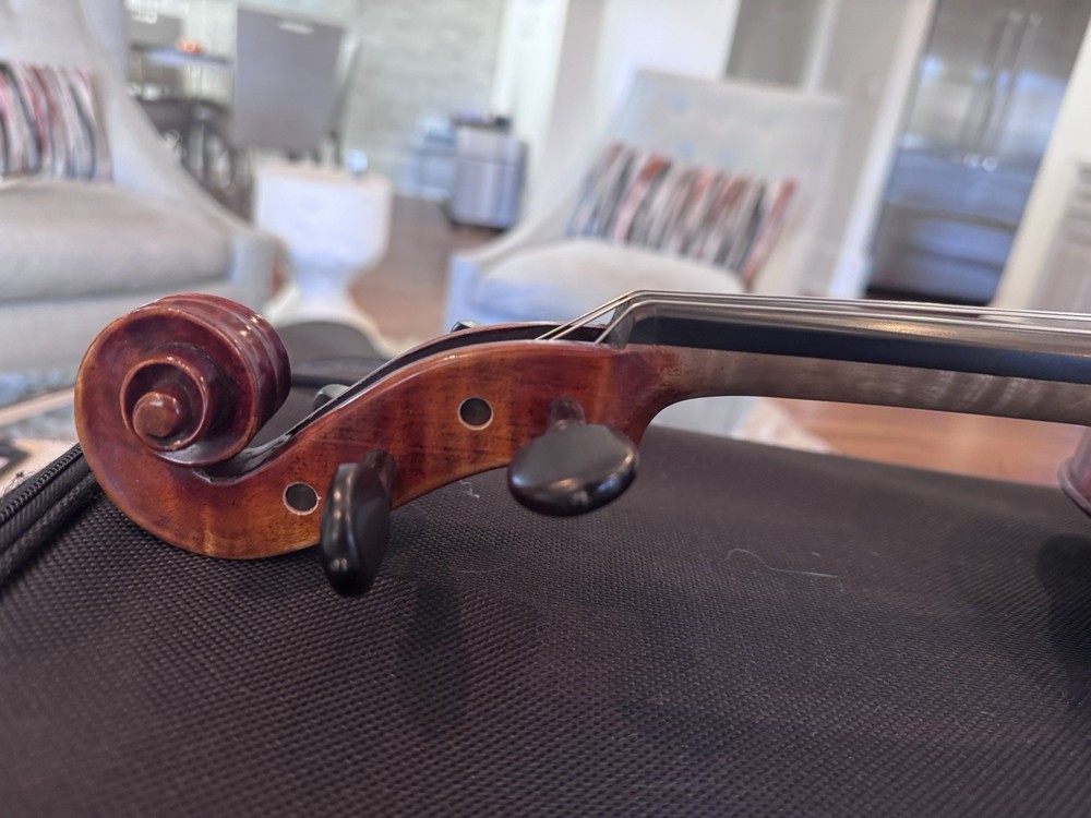 Intermediate/Advanced Viola (handcrafted Scherl & Roth w/ bow and shoulder rest)