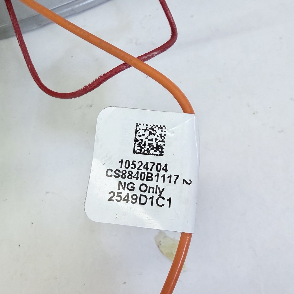 Burner Assembly Natural Gas 100078039