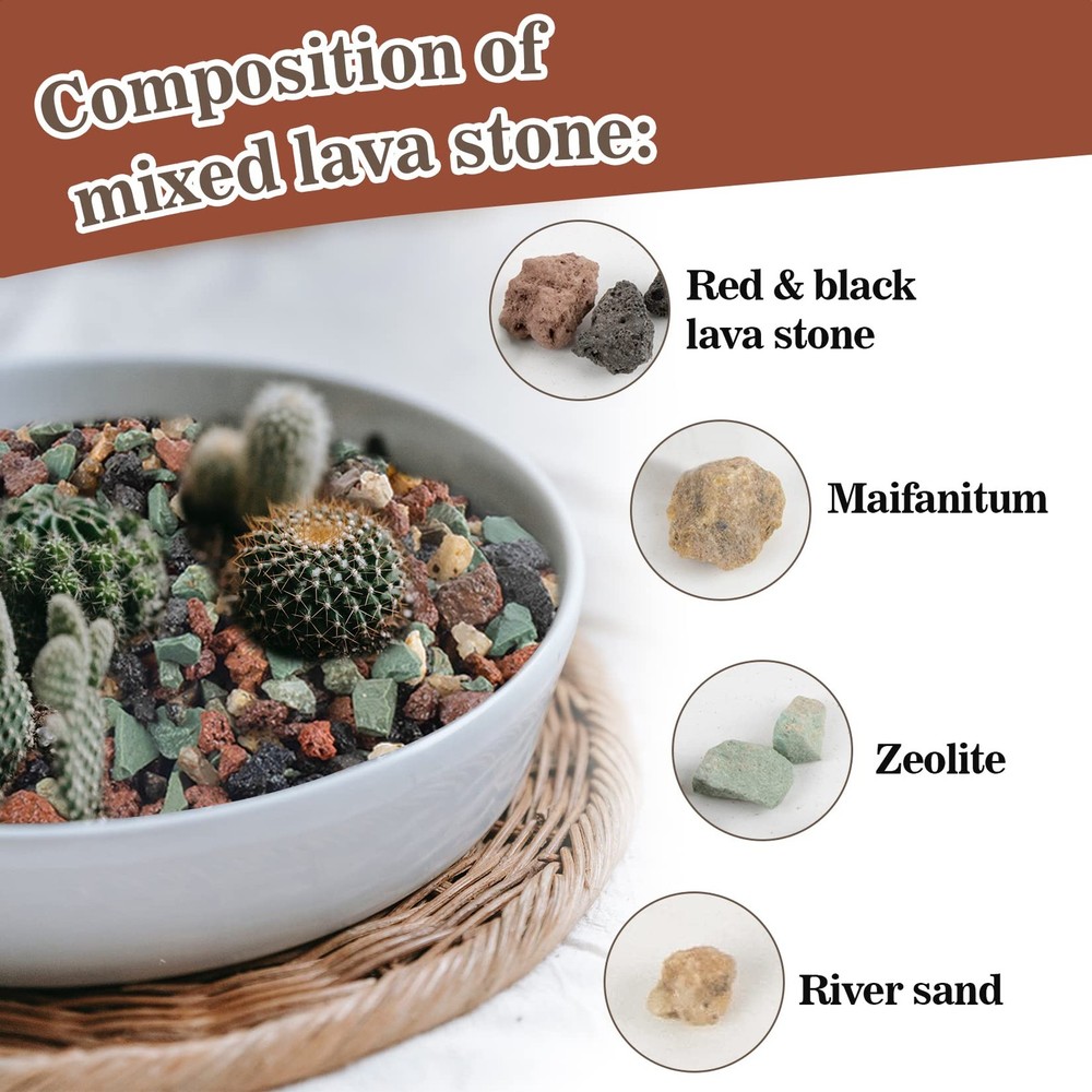 Sukh 1LB Horticultural Succulent Granule Soil - Rocks 1LB, Multi3