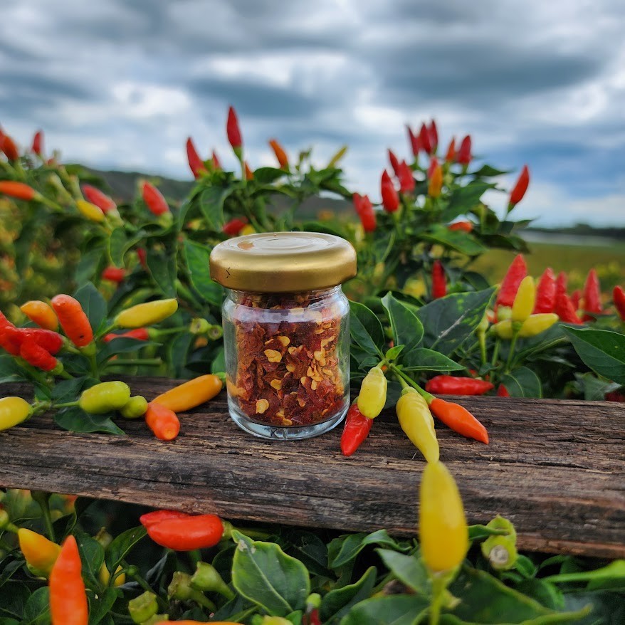 🔥 Premium Tabasco Chili Flakes – Small Batch • Artisan Process • Net Wt. 1.5 oz