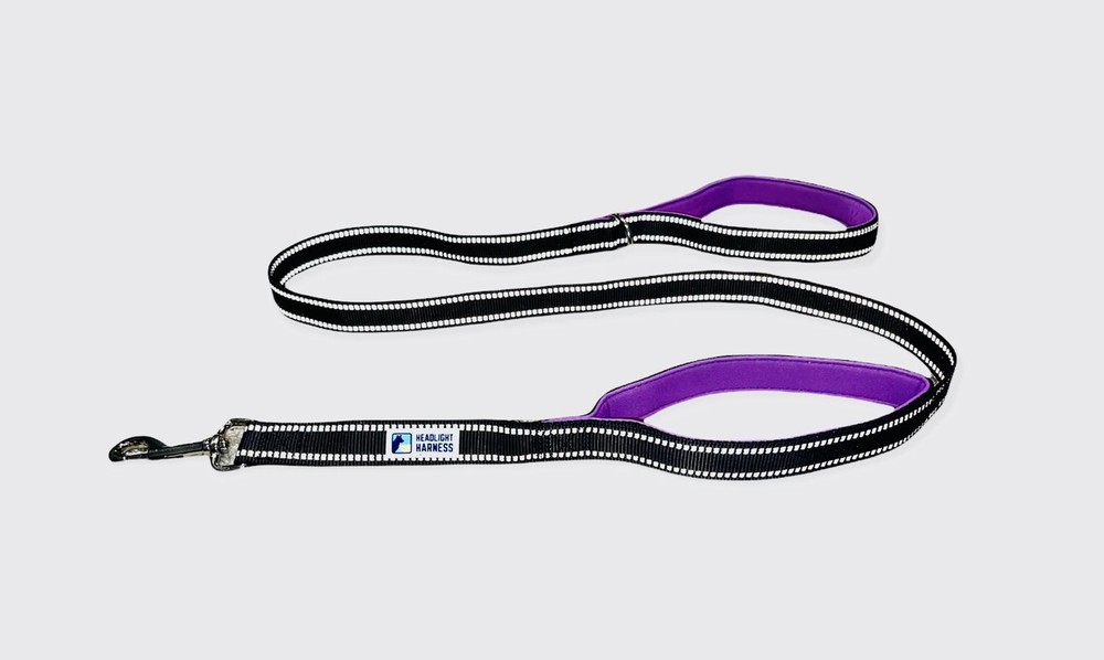 Headlight Harness Reflective Double Handle Dog Leash - 6ft, Purple