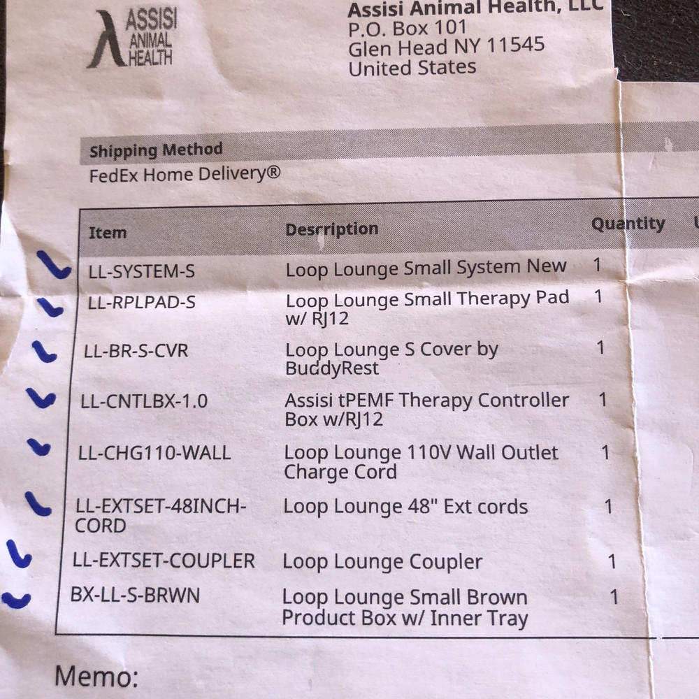 Assisi Loop Lounge Small Therapy Bed Complete System Pad 21"x10.5"