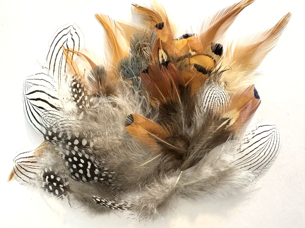 50pcs Mixed Natural 4-10cm Pheasant Guinea Rooster Feathers DIY Craft Boho Bulk