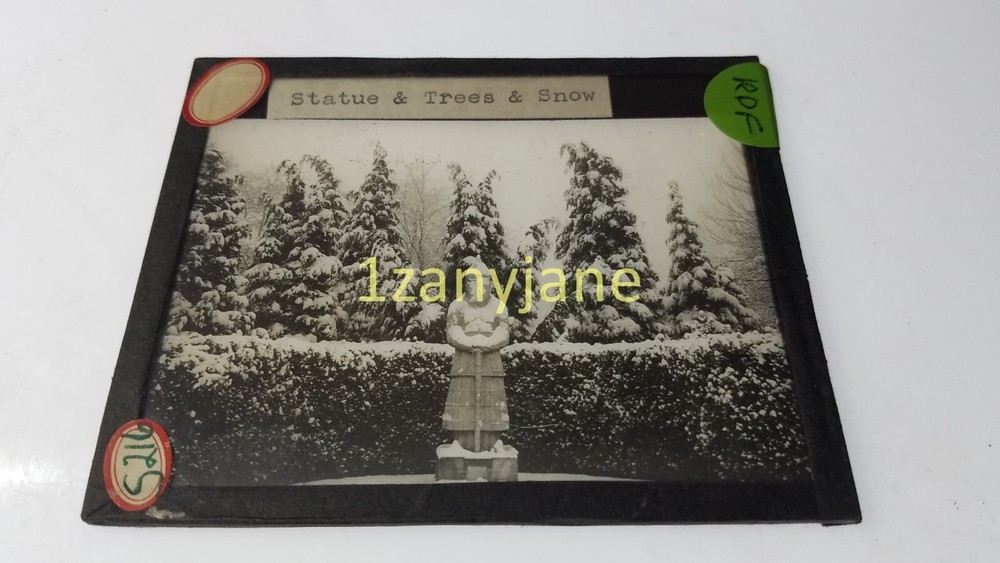 RDF Glass Magic Lantern Slide Photo S216 STATUE & TREE & SNOW