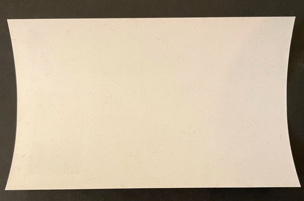 Stamps Hong Kong Scott #1307a never hinged