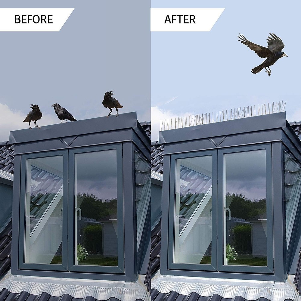 Pre-Assembled Stainless Steel Bird Spikes 10ft - Versatile & Effective Solution