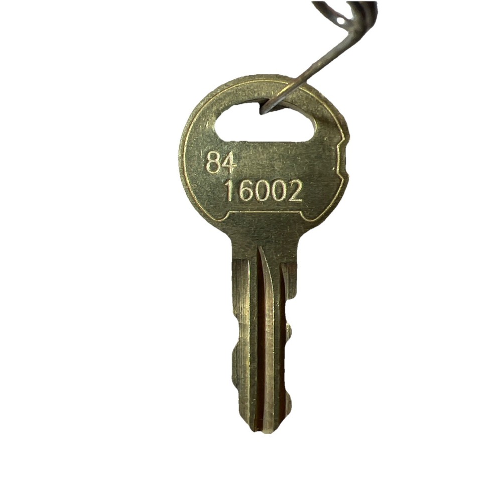 16002 DKS Doorking REPLACEMENT Key... BA