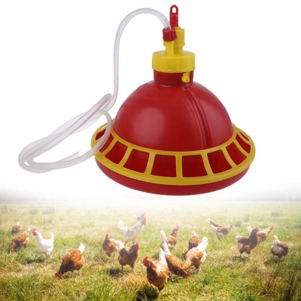Automatic Chicken Feeder Drinker For Poultry Feed Multi Chicks At Once ╏