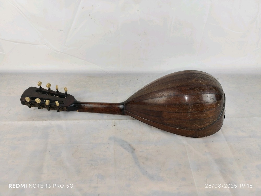 Mandolin Piccolo Giuseppe Cesolari 1910 Rome 曼陀林 만돌린マンドリン