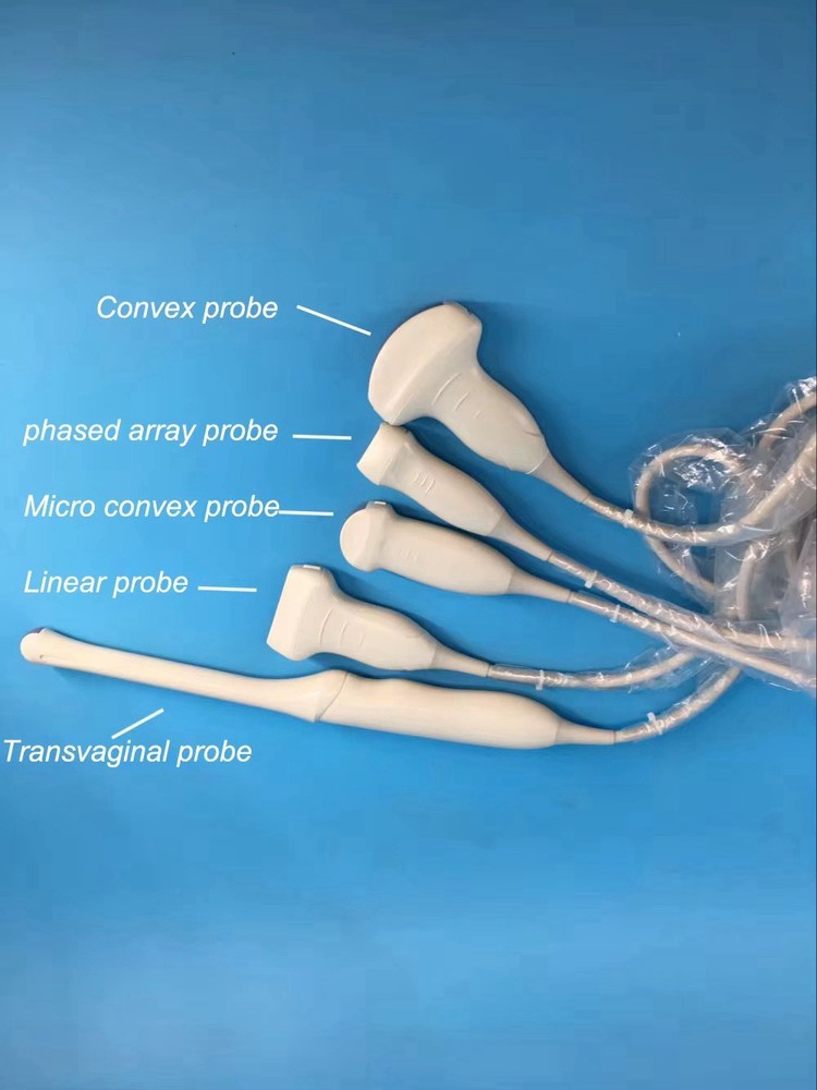 Portable ultrasound linear  For Sunbright 4D Ultrasound