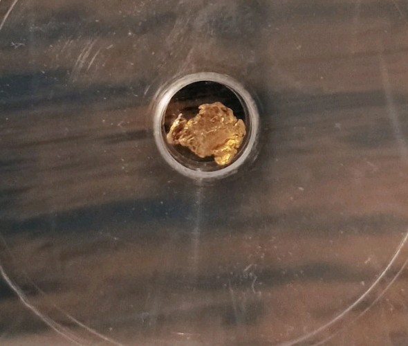 .30 gram Gold Nugget ICG Certified