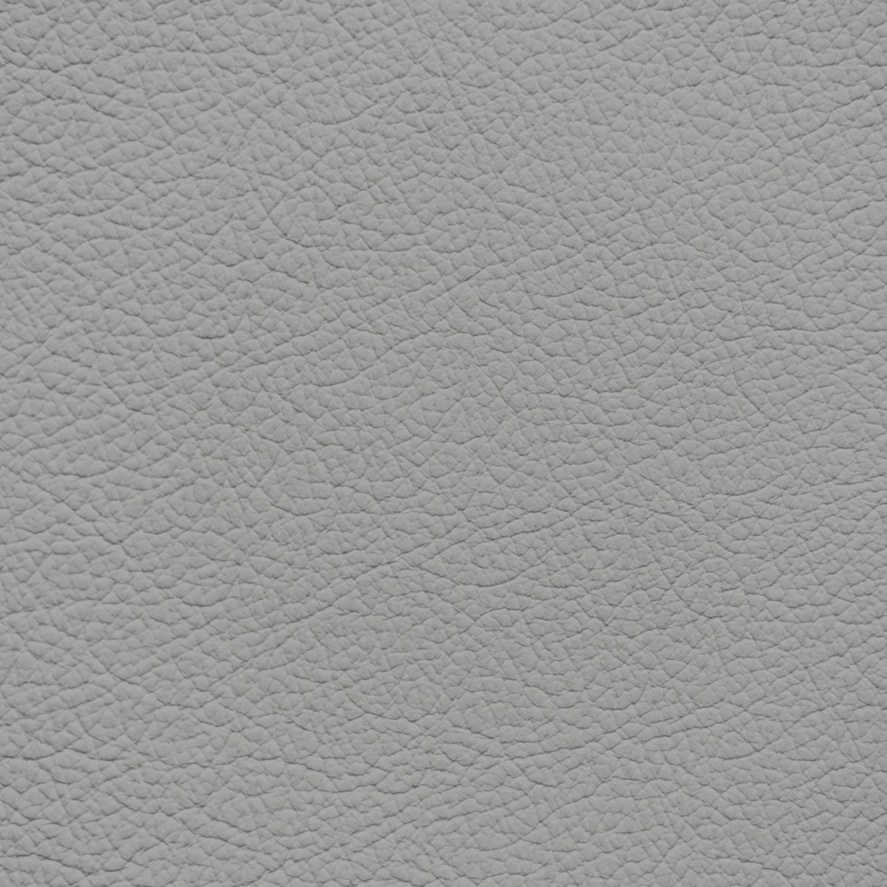 BMW Alaska Gray Leather Dye