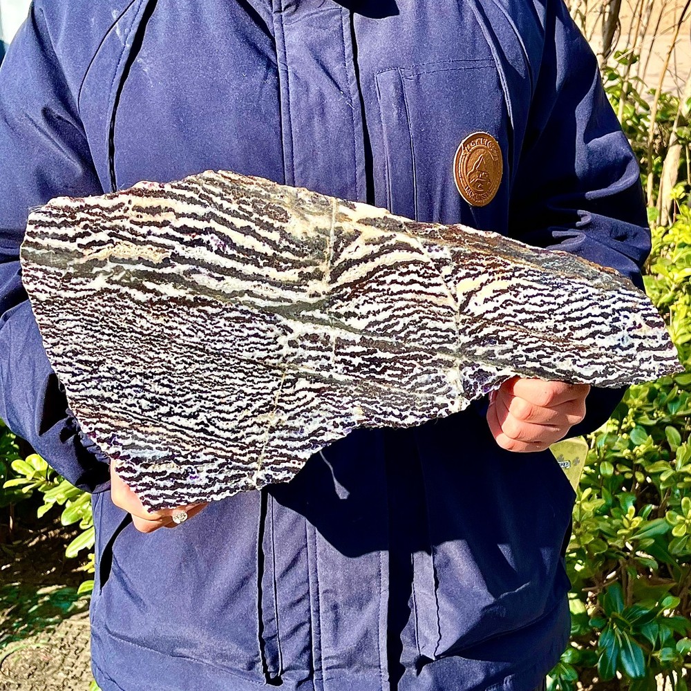 4.21LB Water grass agate wide column obelisk sample column