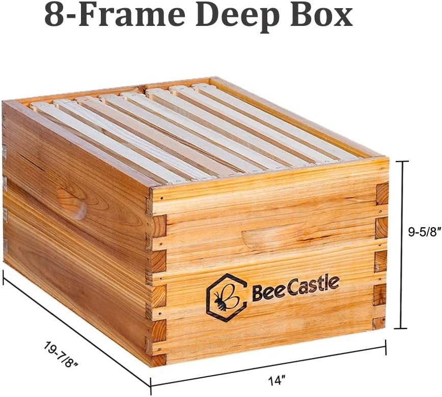 Elegant 8 Frame Langstroth Hive: Beeswax Coated, Modern Design & Starter Kit