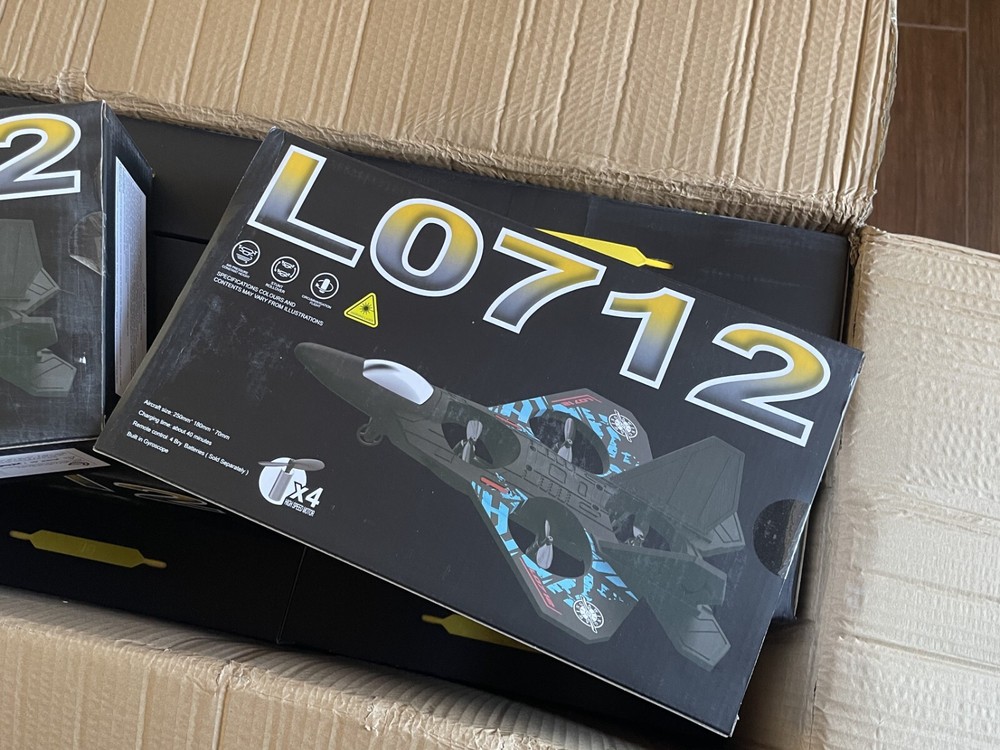 F22 Raptor Drone Remote Control Stunt Plane - Easy to Fly- L0712