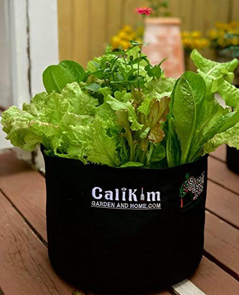 Smart Pots 1-Gallon Smart Pot Soft-Sided Container, Black