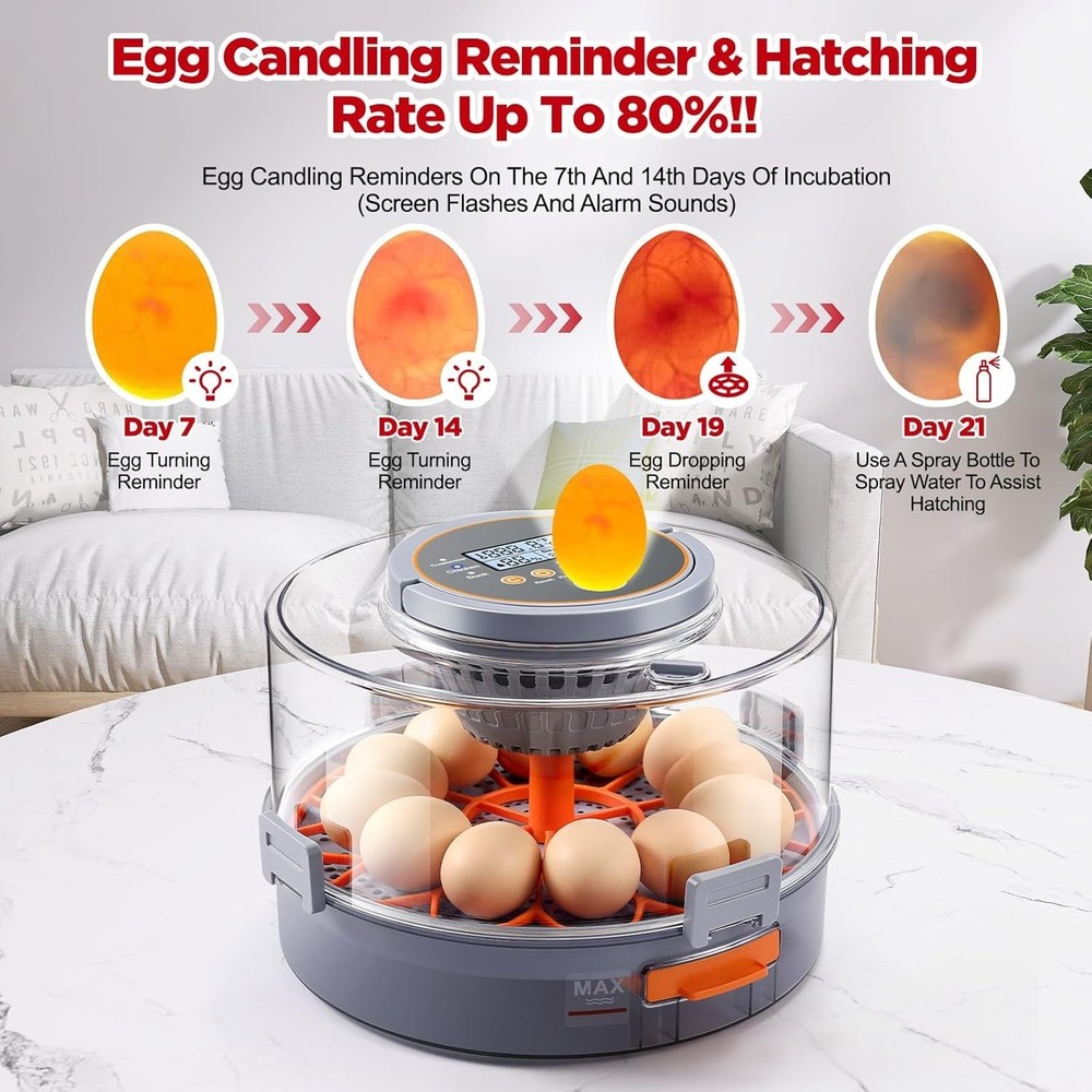 Automatic Chicken Egg Incubator 12-40 Eggs Digital Control Hatching Poultry
