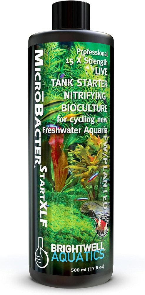 Brightwell Aquatics Microbacter Start XLF - Concentrated Freshwater Nitrifying B