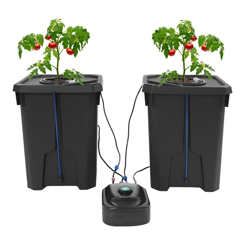 Hydroponics Growing System, Culture Bucket System, Recirculating Drip Garden Sys