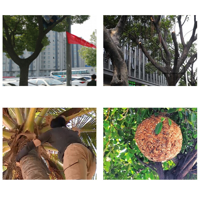 Tree Climbing Gear Kit for Tree Work 200KG Tree Climbing Tool with Tree Spikes