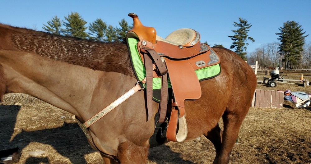16 inch Equitation Saddle & Breast Plate