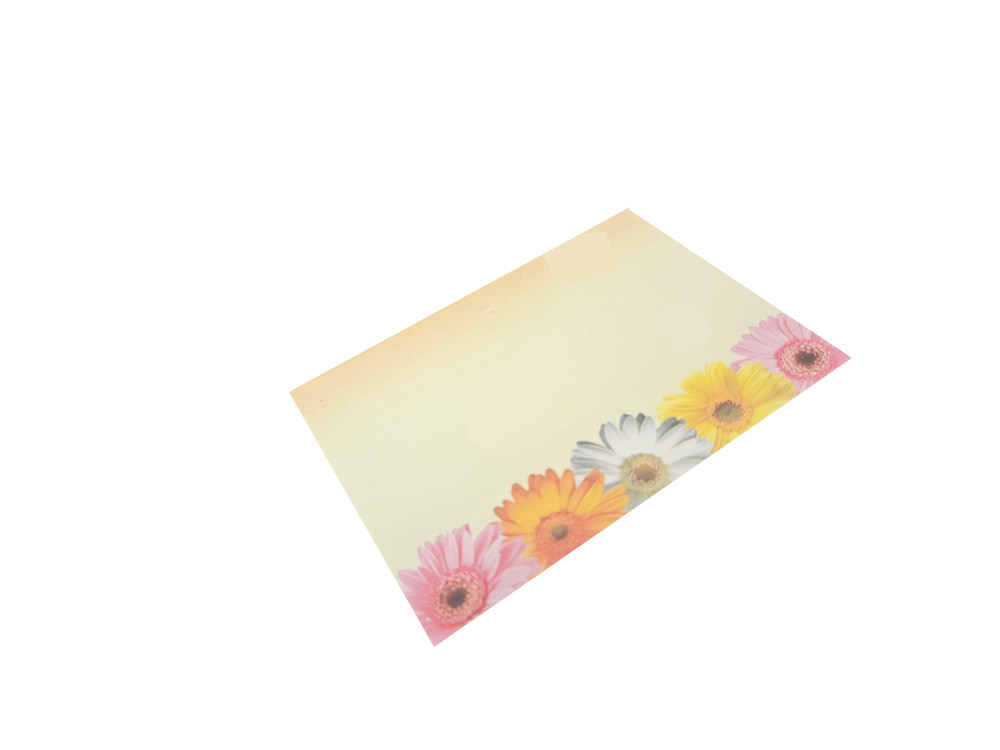Sticky Notes - Gerbera Daisies