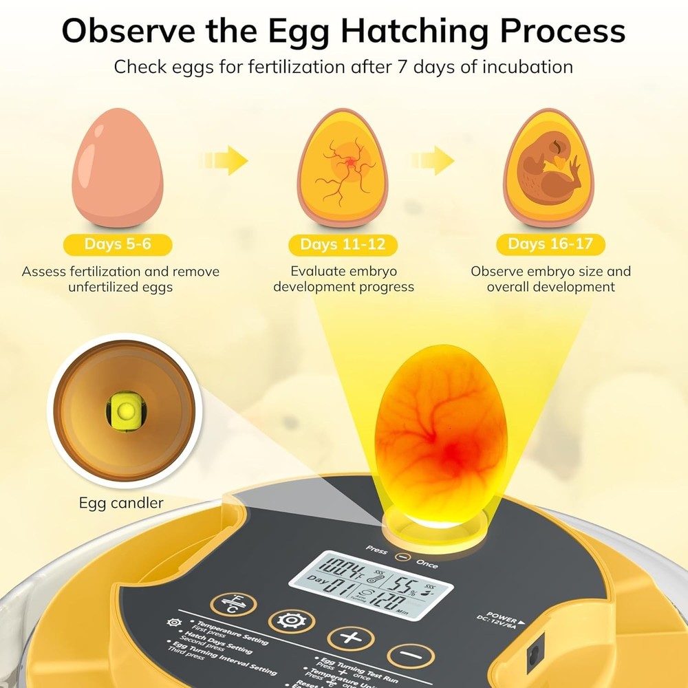 18 Egg Incubator with Auto Egg Turning, Temperature Display & Dual Water Bottles