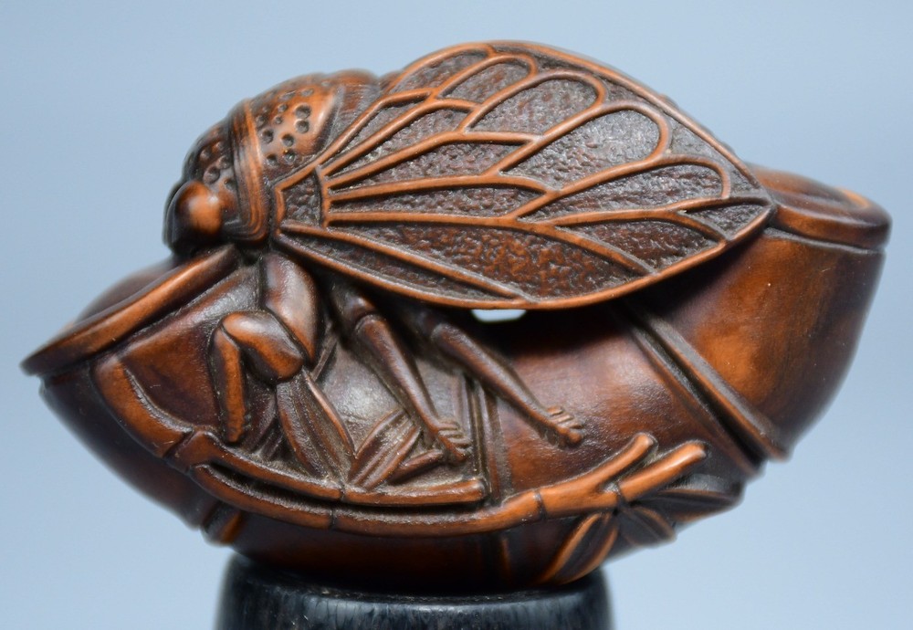 Exquisite Carved Boxwood Striking Display Piece