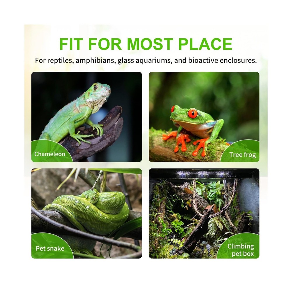 Reptile Mister System, External Timer & 360° Adjustable Nozzle, Hum... Fast