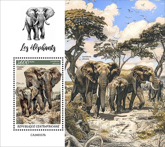 Elephants