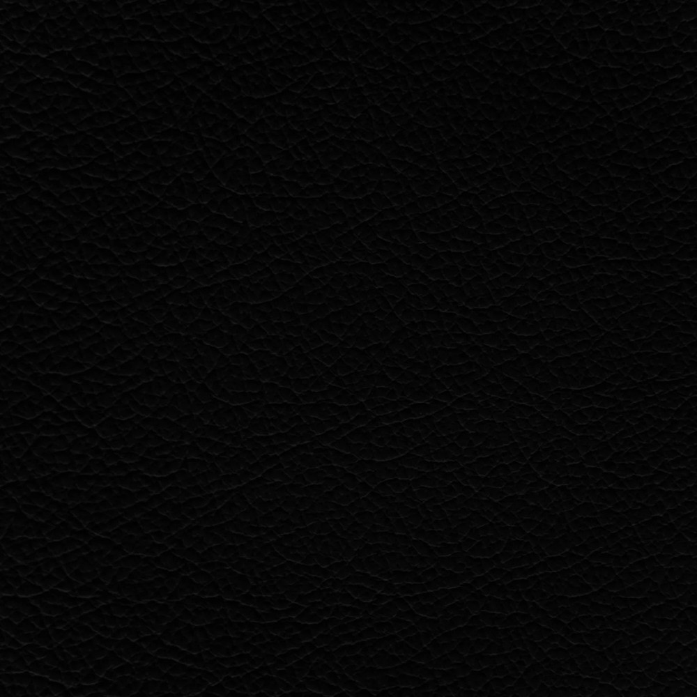 Porsche Black Leather Dye