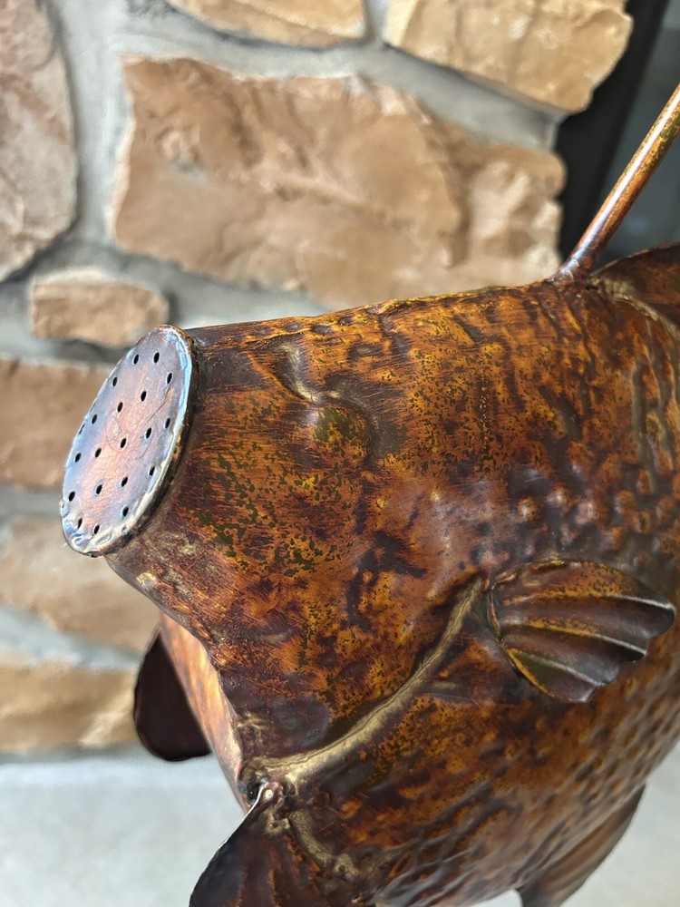 Whimsical Fish Watering Can Art