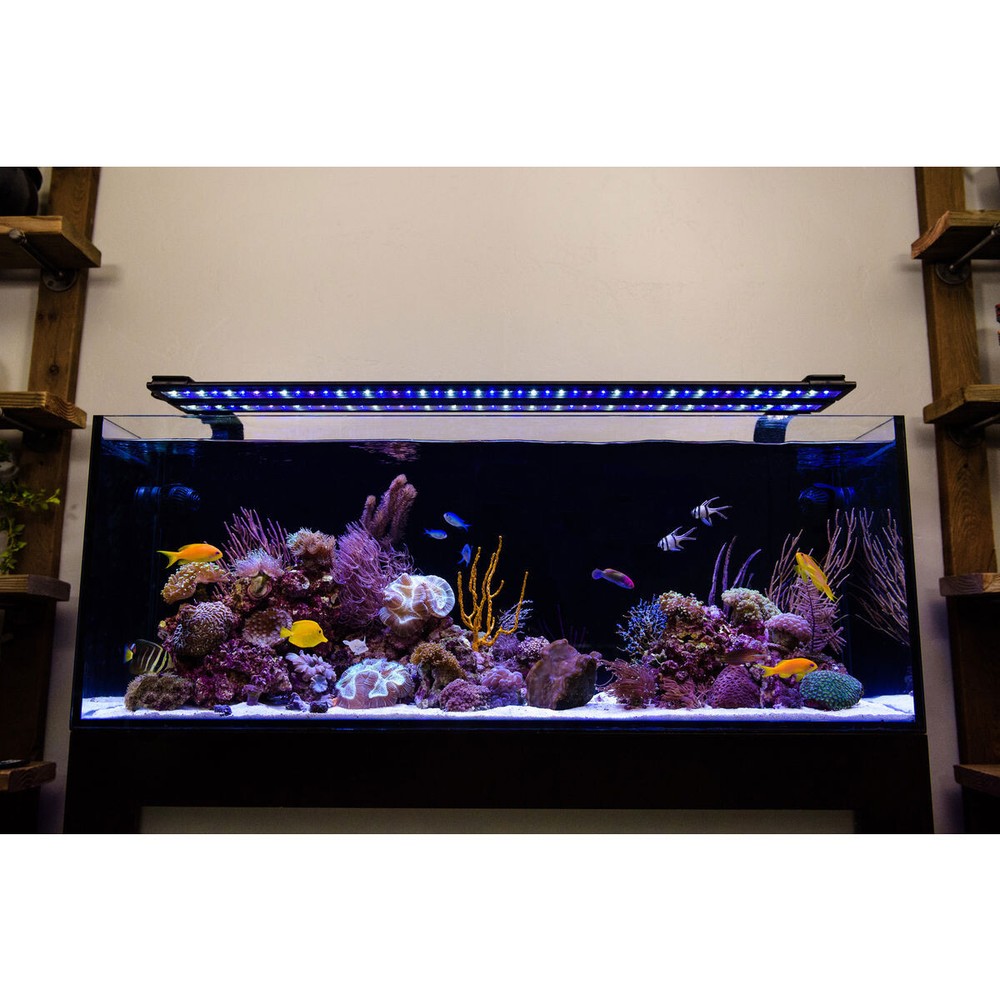 Orbit Marine 18"- 24" IC LOOP PRO Dual LED System w/HUB (4504) - Current USA
