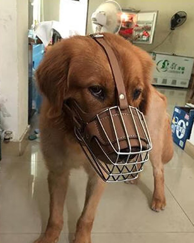 Dog Muzzle for Large Dogs, German Shepherd Muzzle with Adjustable Leather Str...