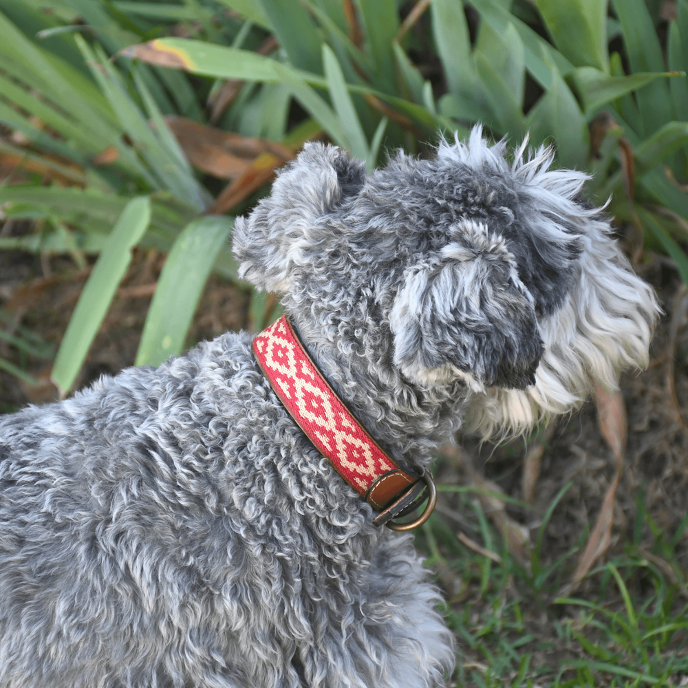 Genuine Leather Dog Collar Adjustable Necklace