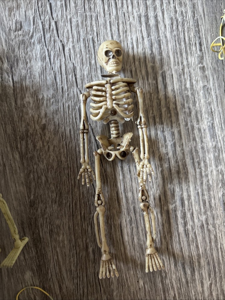 1/6th Scale Skeleton Model Halloween Decoration