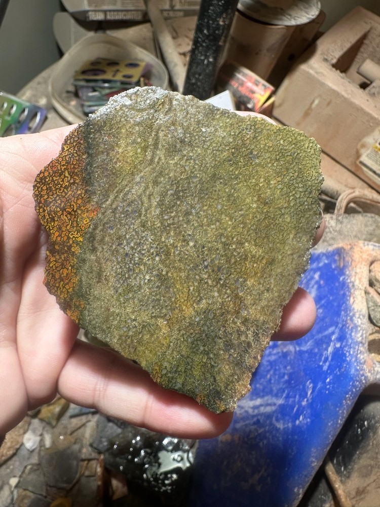 Dinosaur bone rough **hxtled slab.