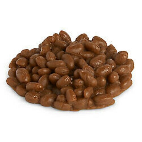 Display Fake Food Prop Pork And Beans