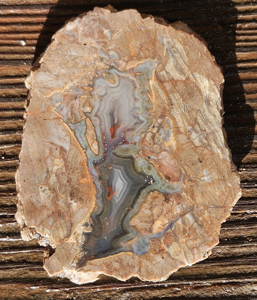 Agate Lapidary Slab 30 Grams Baker Area