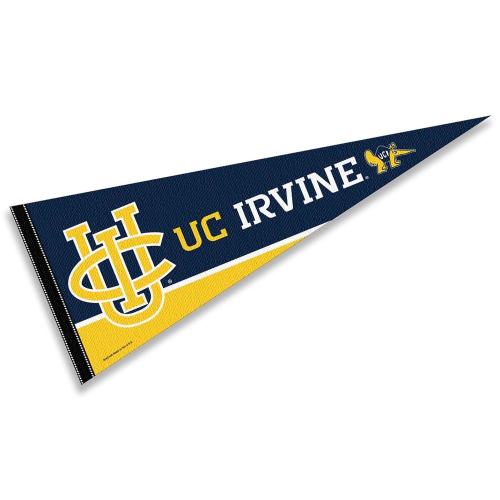 UC Irvine 12x30 Felt Pennant