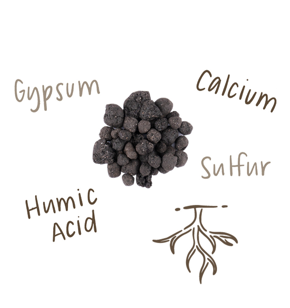 The Andersons Lawnbox® Soil Saver® Organic Soil Amendment