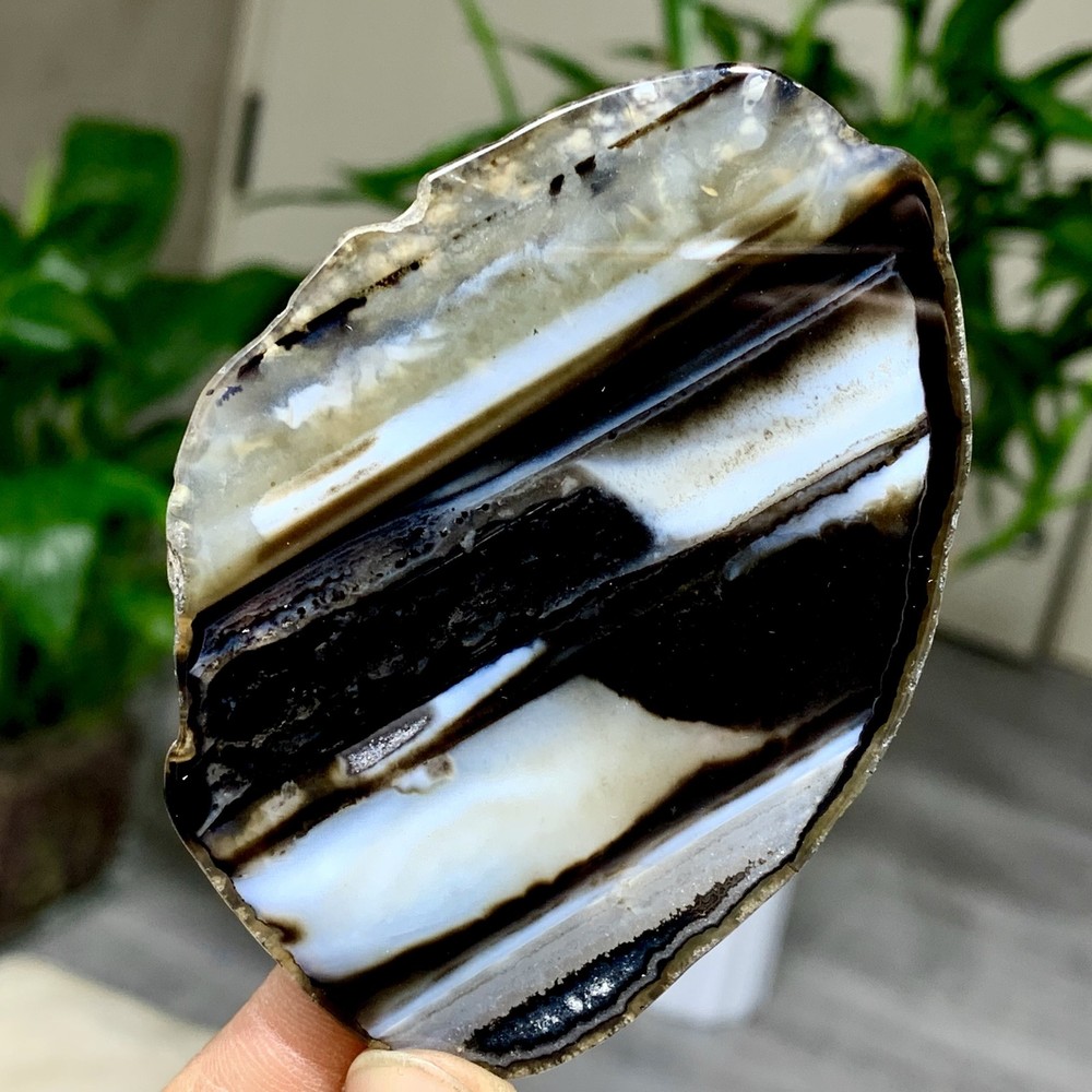 44G Natural Beautiful Agate Geode Druzy Slice Extra Large Gemstone