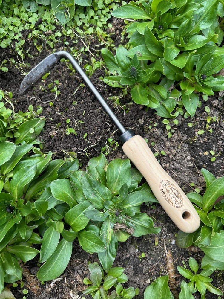 Dewit Cape Cod Weeder – Right Hand | Hand Weeding Tool for Tight Spaces |