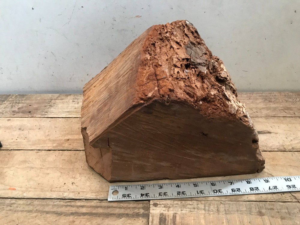Black Walnut Weathered Block Lathe Turning Carving Chunk