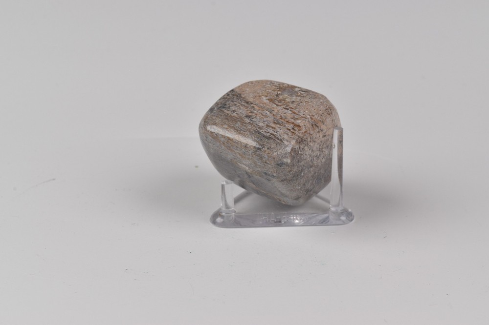 Polished Dinosaur Bone from Morocco 3.9 cm # 21589