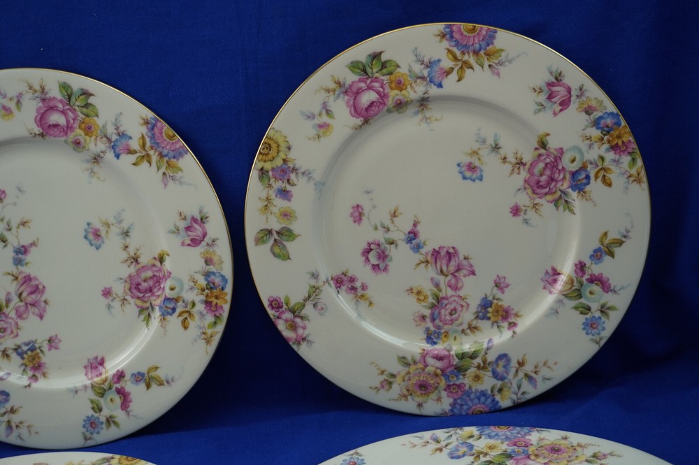 Castleton Sunnybrooke (4) Dinner Plates, 10 3/4" (B54)