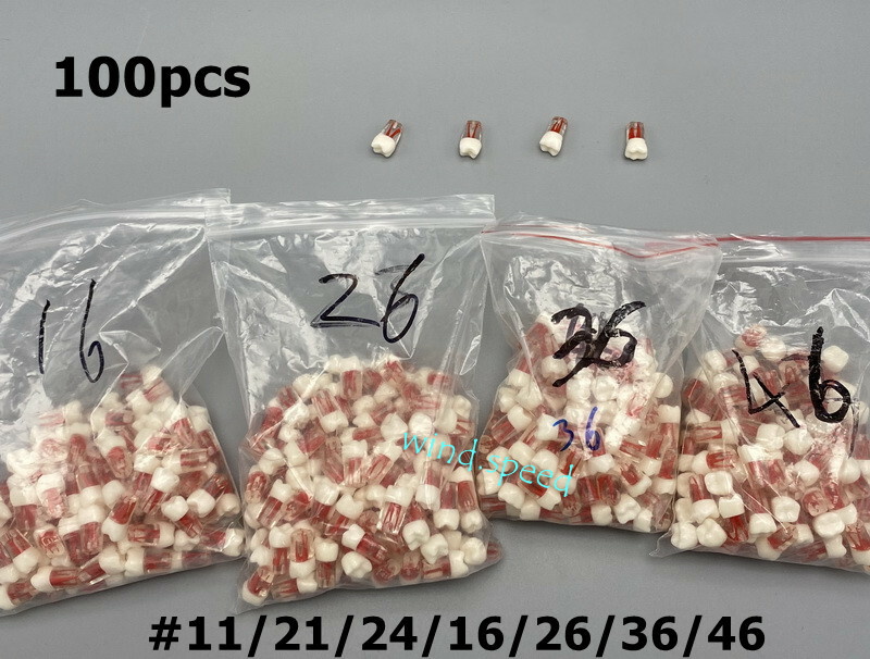 100pc Dental Root Canal Teeth Study Practice Model Endodontic RCT Endo Pulp File