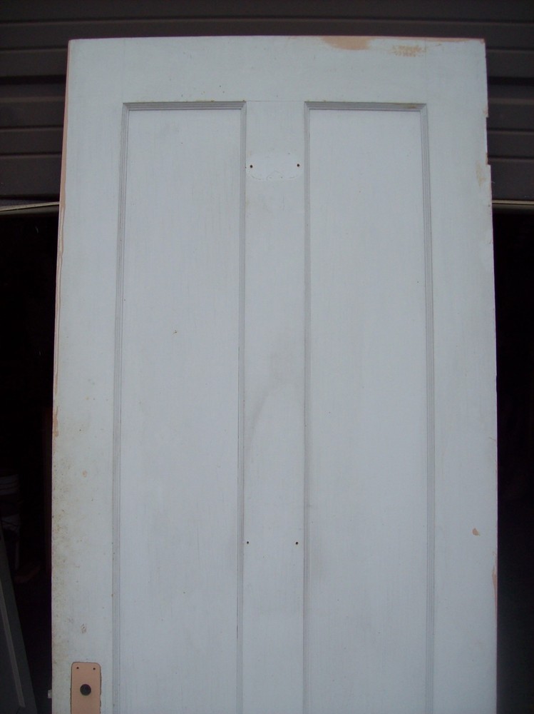 Single painted vertical panel door (D j)